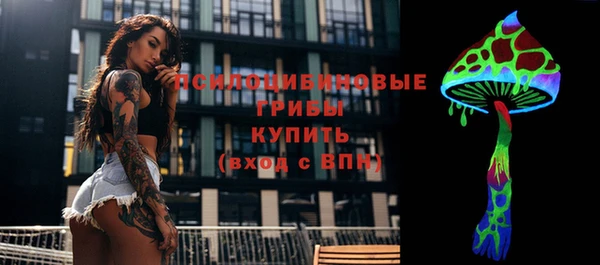 прущие грибы Зеленодольск