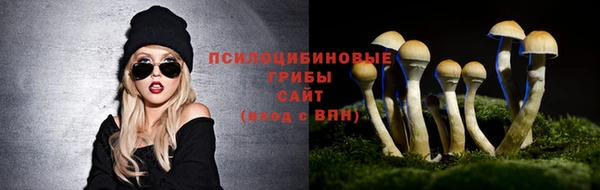 наркотики Зеленокумск