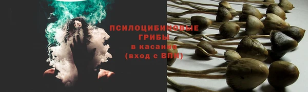 метадон Зерноград