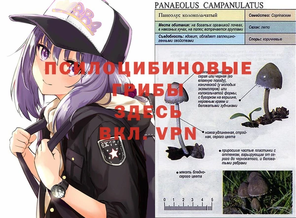 наркотики Зеленокумск