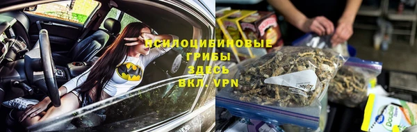 прущие грибы Зеленодольск