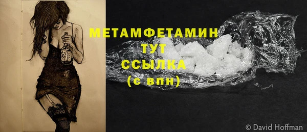 прущие грибы Зеленодольск